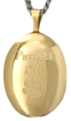 gold purrfect pals pet locket