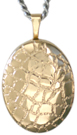L7019 gold reptile oval locket